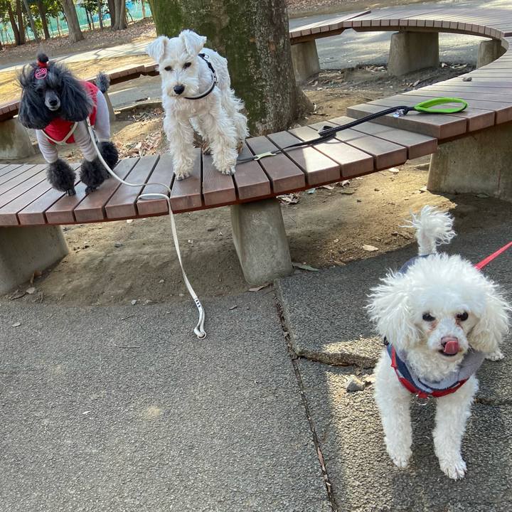 72fb3207 7c4d 46dc b28b 62aab4e99b94 1770264633721