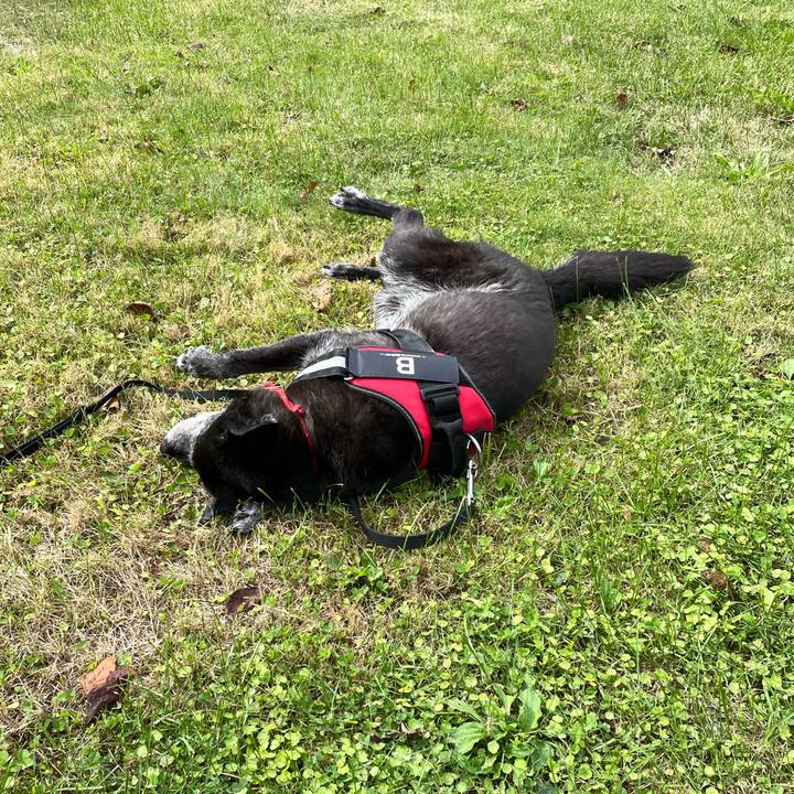 72fb3797 b02e 4adc a77a 887a950bc55c 1758448970988