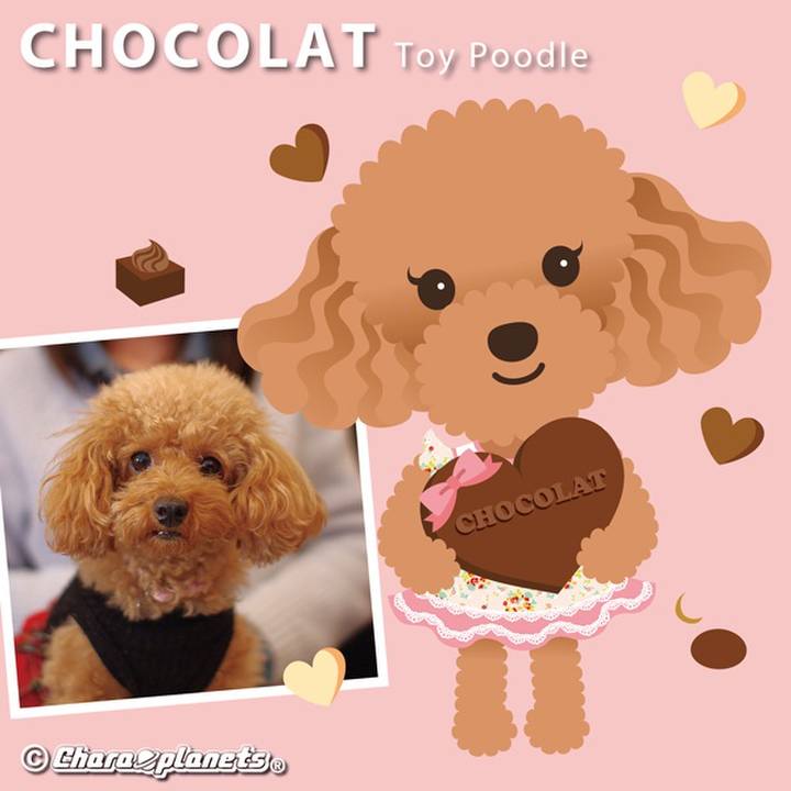 72fb9b4a ca93 4832 a6ba c3454fbe56a0 1559605086394