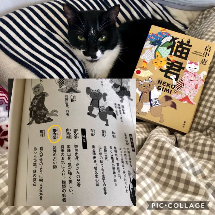 72fbbe50 4c0e 4541 bb99 8861dfe00849 1581051184755