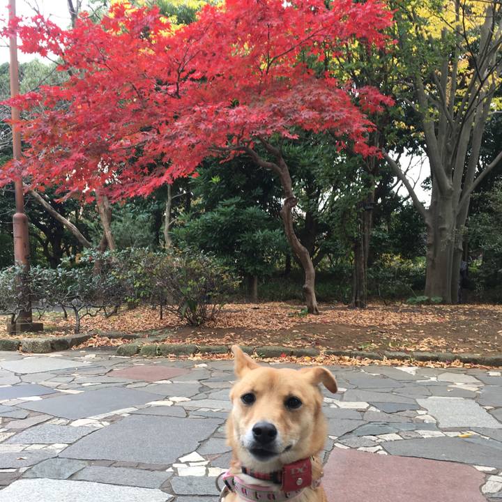 72fbf0ec 9d12 428d 9304 076fde5a5a0c 1511334534342