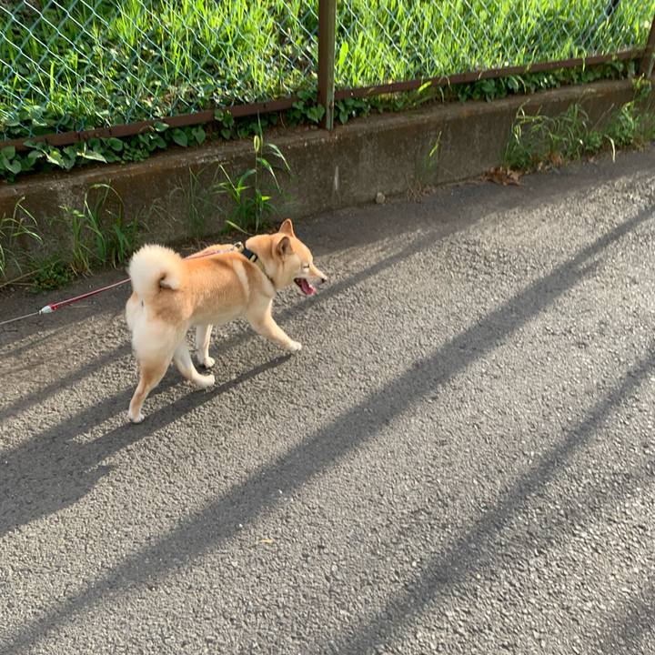 72fc1d4f 4a24 44f5 ab3b 3bfaa4c71501 1656195708911