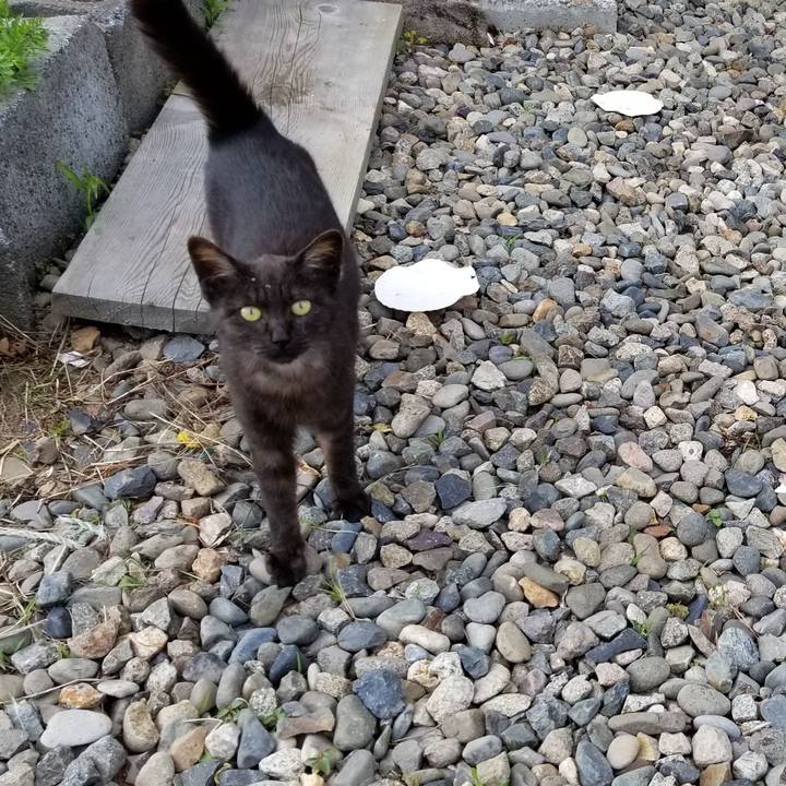 72fc21db e066 4212 b337 fa577595bf69 1560934637945