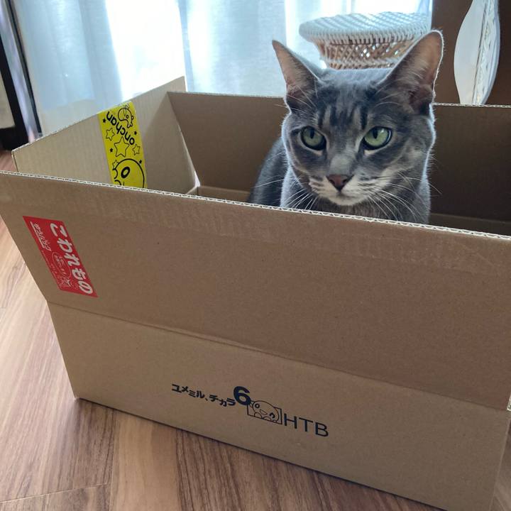 72fc358e aa02 46ce aa8f 77bc462813f0 1634965263122