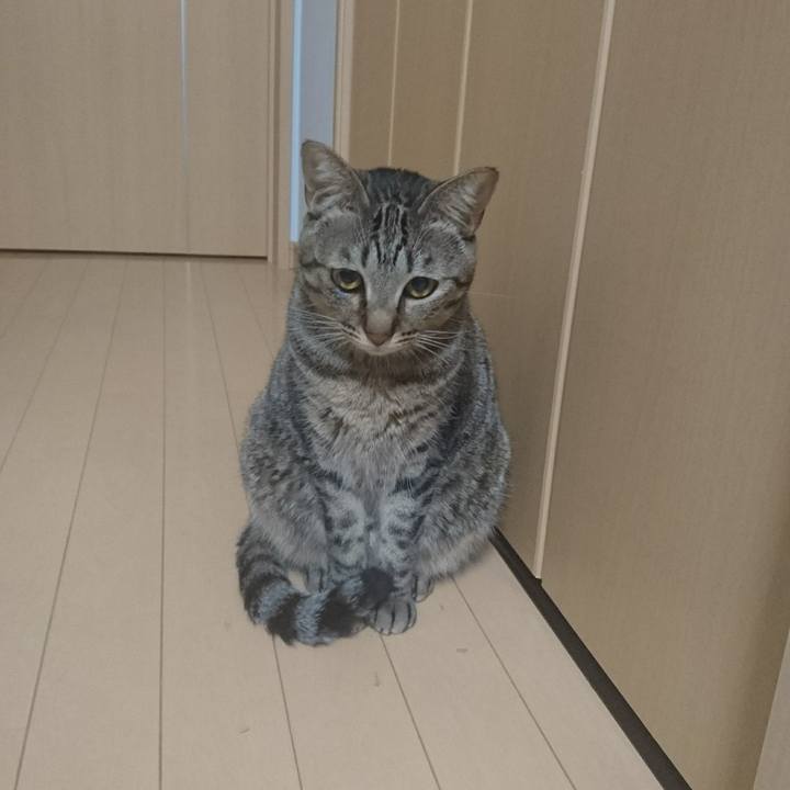 72fc3d7b 17e0 43af 8146 146c87436825 1509261838862