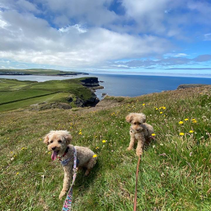 72fc6d96 08bf 4ebe 8186 76c103899c7e 1624890894179