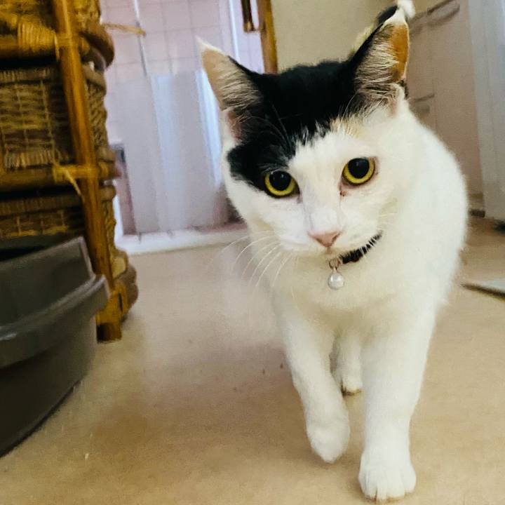 72fcbda5 93d9 45b3 9e7b 88fcb1ccaa91 1655153192730