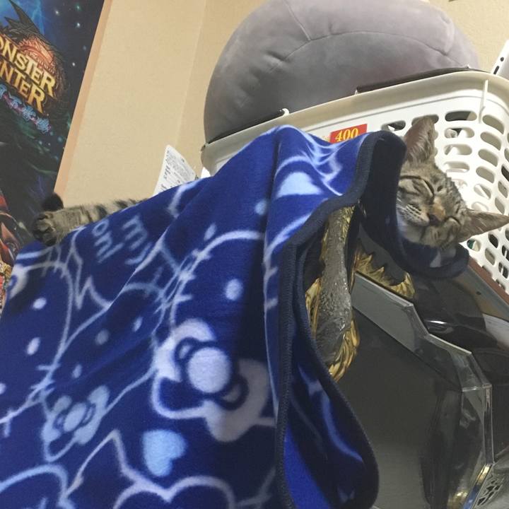 72fcd57b f161 4b58 bd46 5edf37f8fd00 1538227062177