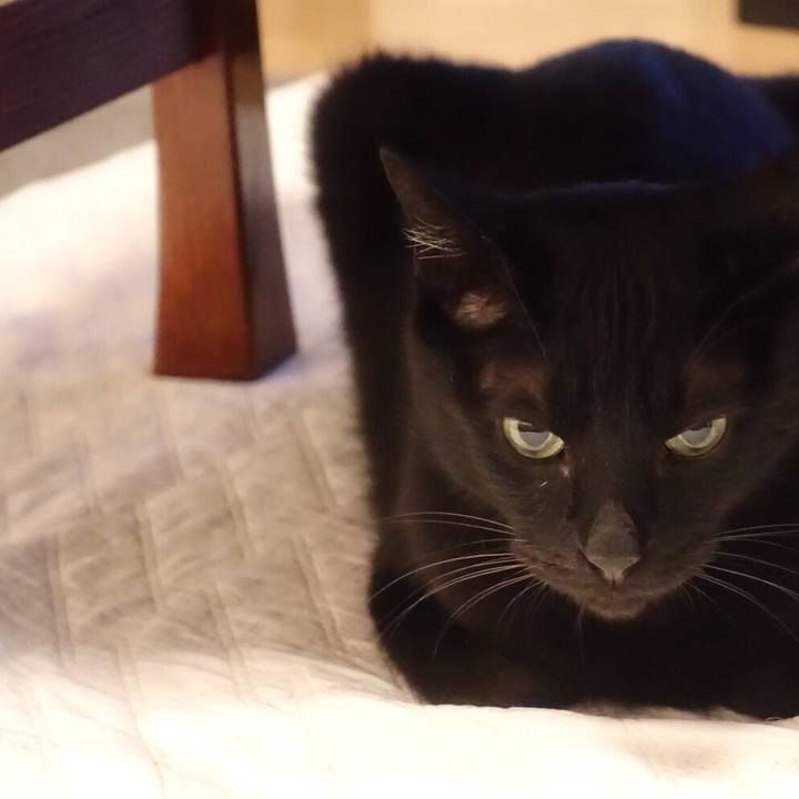 72fcdb37 2f69 461f bf82 4ec0f11d65d7 1523117958810