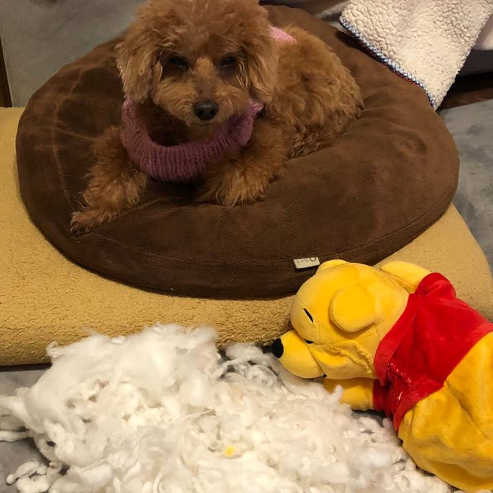 72fcdcb9 c57f 4f64 9d00 3a7783e93e8d 1581697052678