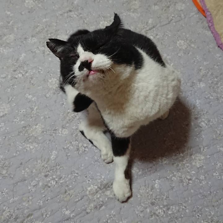 72fd0531 6c38 4b24 a796 e4b130da225b 1604790685307