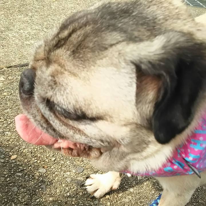 72fd1074 c785 4d20 ac1d 7641bfc2ff01 1564719793138