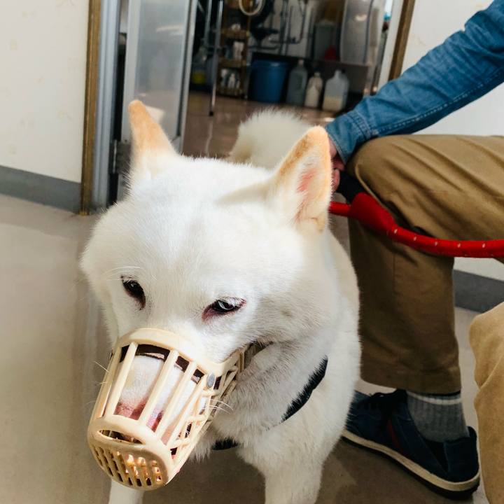 72fd3f25 2adf 4b3a 88ee 71806a18e607 1663130266371