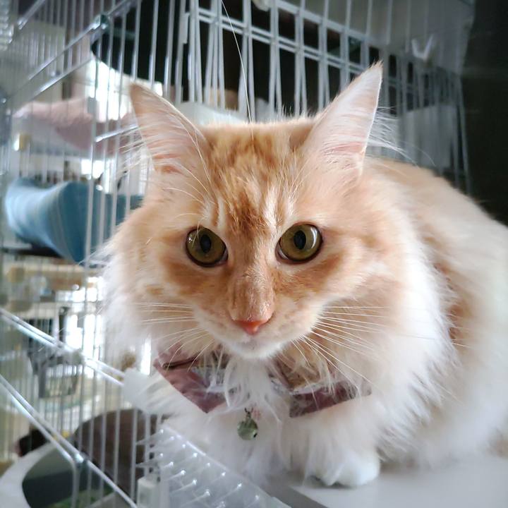 72fd432b f625 47f2 a02a 42be678752c2 1720687357805