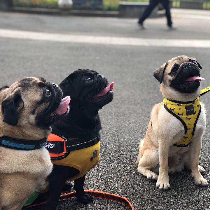 72fd4d5a dd40 403b 8774 15e8f7df61ea 1630029761536