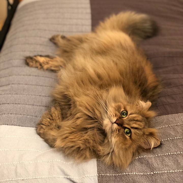 72fd5a82 c820 4a1a 9a3a 88fbe7610ed1 1548062492490