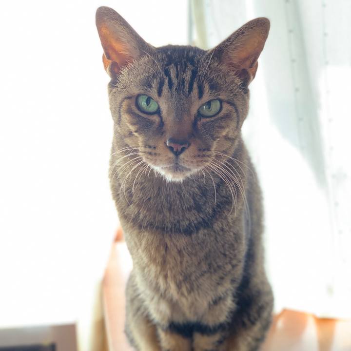 72fd63e0 d237 4775 86b4 7643d216c73f 1584841604807