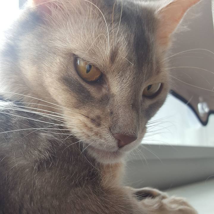 72fd7beb 6021 4d5a 9671 1c6434af4a1c 1571451852986