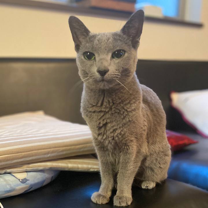 72fd84ac 0de2 4c35 9231 05fedbe79baf 1578438716459