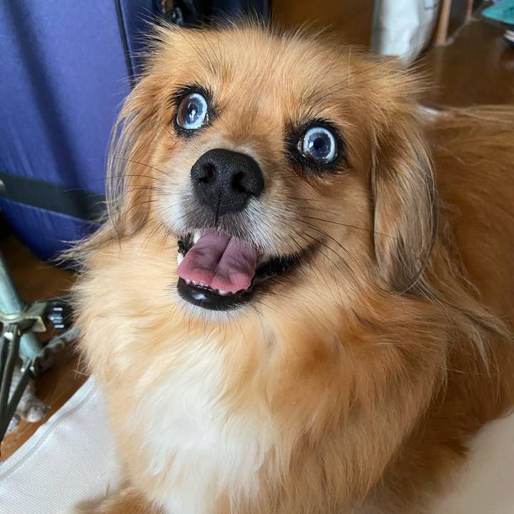 72fda6f2 33aa 4f2f bd90 0401e510f432 1595799045852