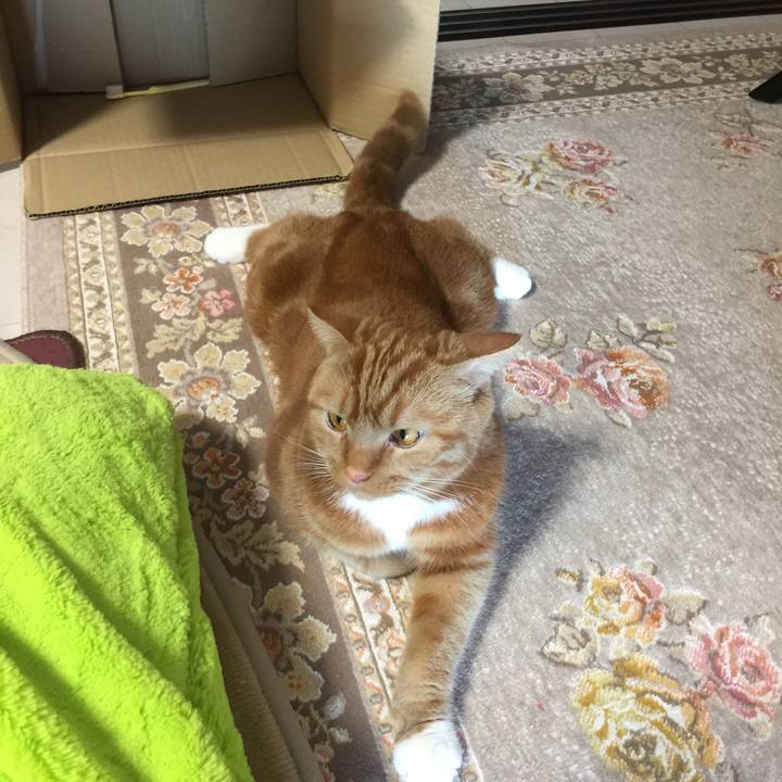 72fde6d4 050d 4079 aab4 feca88f1104a 1546151204824