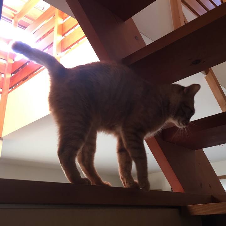 72fdfd79 7f20 4496 bc73 7e25960ef1d6 1551426555322