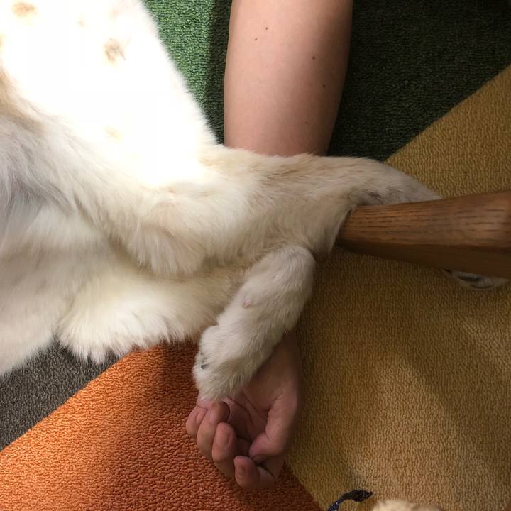 72fe1e5c 8111 4903 9433 062551ea2bde 1534257666802