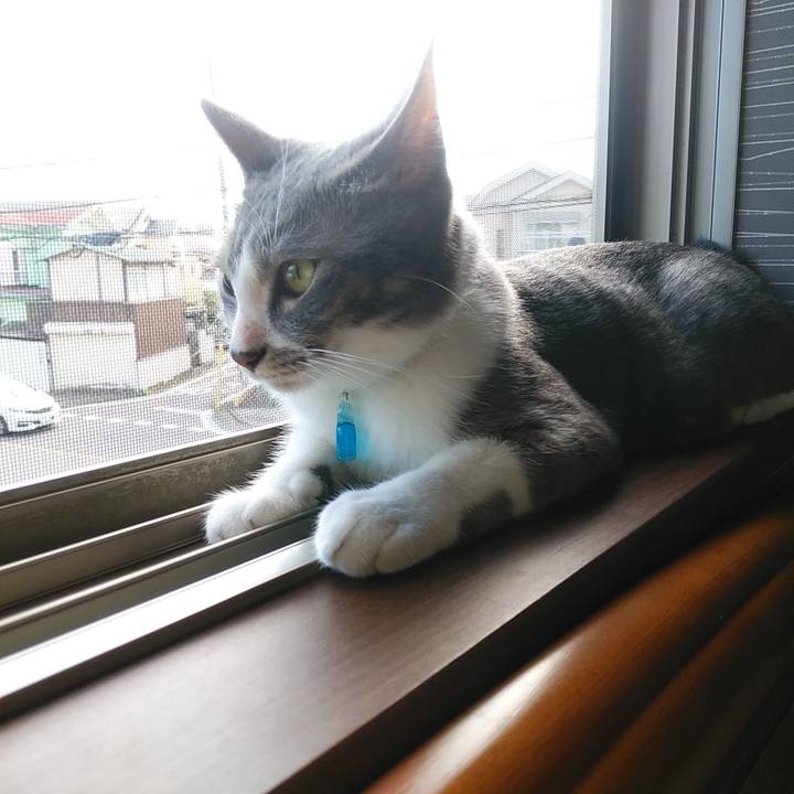 72fe1f4c d0a5 4cee adb1 c93e97106bd4 1593382778903