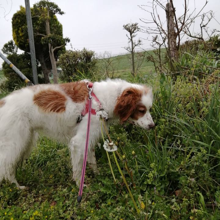 72fe3c6e 4140 409c b1bb 2dc0bfc1f726 1616716089487