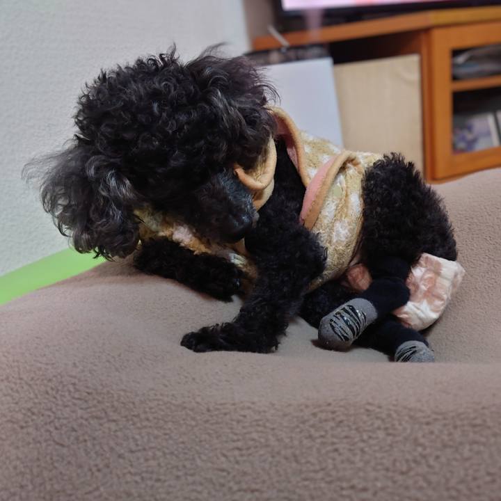 72fe3cf1 899c 4e8d 8997 1e80e42bd379 1767425513635