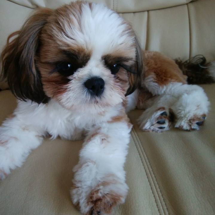 72fe42b4 f96f 437b 9972 81178bcd0dfe 1541896891470