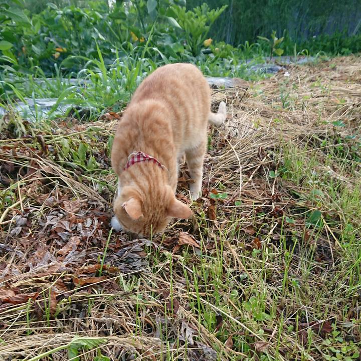 72fe4c80 142d 446c 83ff 26d3001ab587 1562273921594