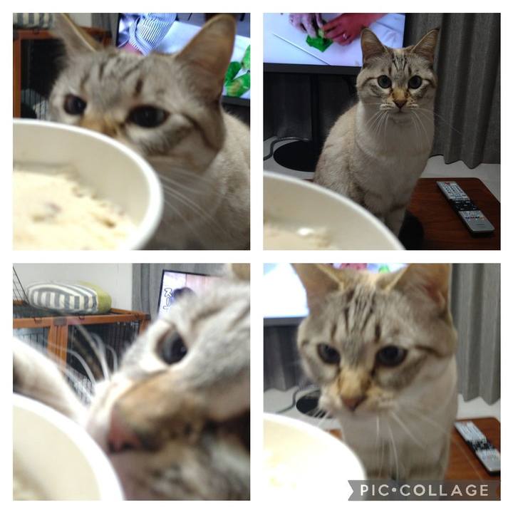 72fe66c5 f1ef 488d 856b ae3ba42c8702 1636628686149