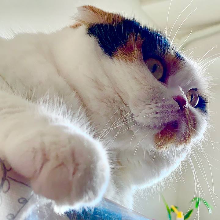 72fe6f83 f5a7 45c7 a7d4 b0724f37ee88 1579392712637