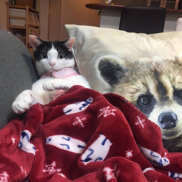 72fec3f1 6b7f 4727 bad5 b4fdfefc2613 1516319217710