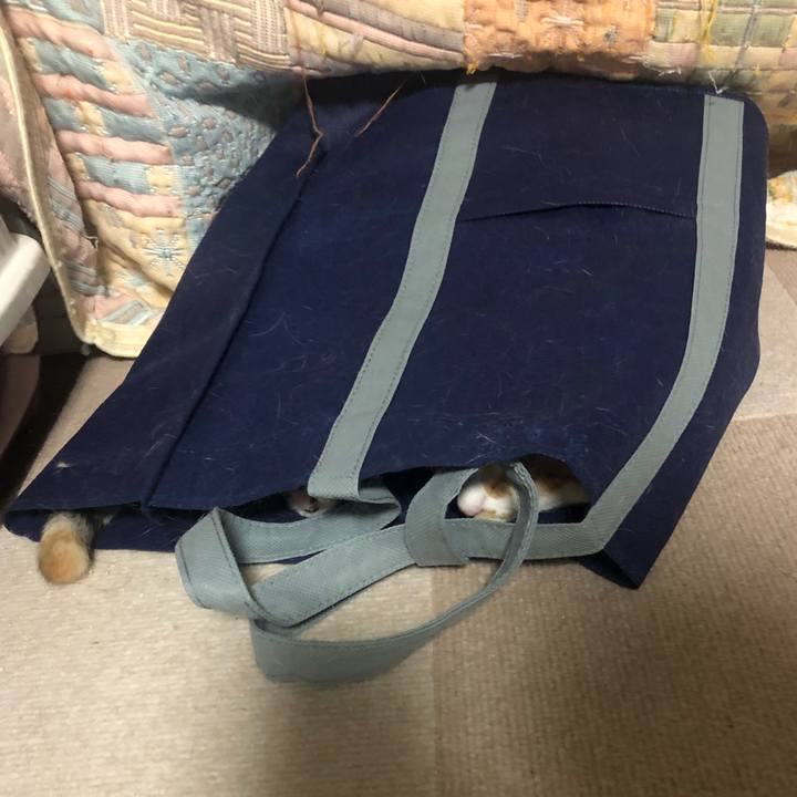 72fee59f e867 45fa 97cb 9508cb53f412 1591103974808