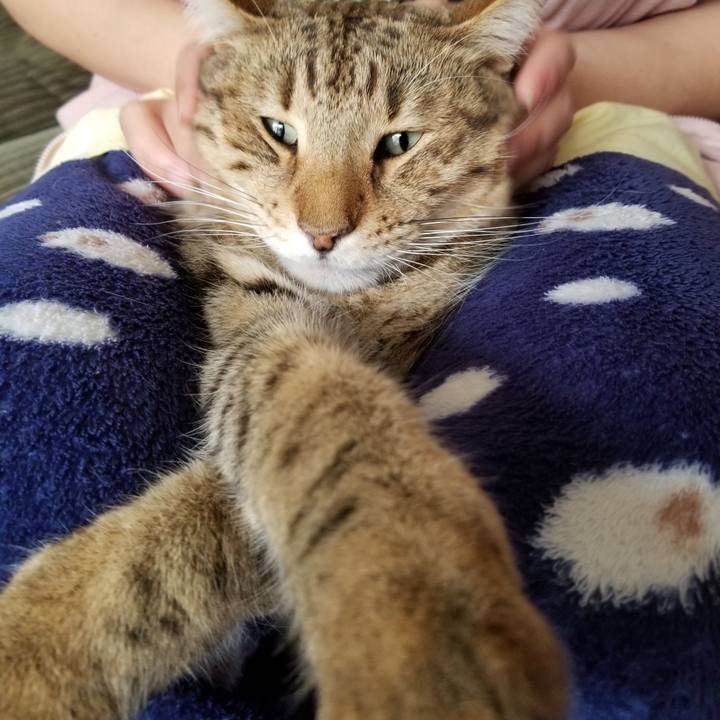 72fef3dc ef94 4f64 b7b6 e9359a29fd5b 1651388379479