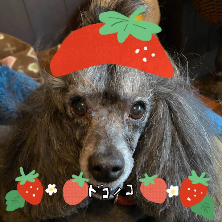 72ff3ca7 933b 4908 a1bb 27581db2e1b2 1775391556094