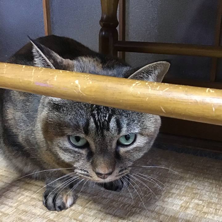 72ff5bfe 6b34 4d3a 93e7 f83951b0e468 1760165433309