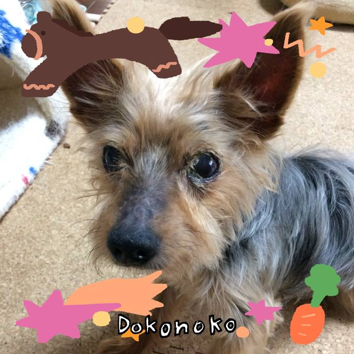 72ffa344 48d8 4fbd bc65 b6753d6450cd 1771816083308