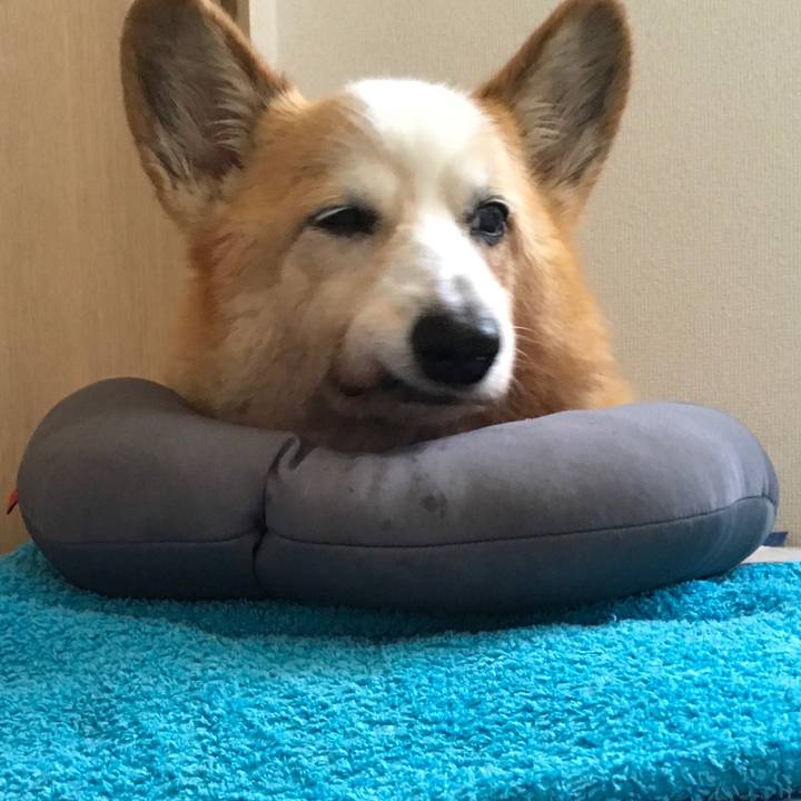 72ffa5d2 a2b0 4ed3 b0e0 916576c4309f 1567227516475