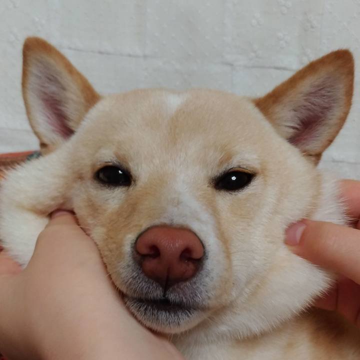 72ffcb75 2c98 447b ad95 54ca7a3677d9 1528023589189