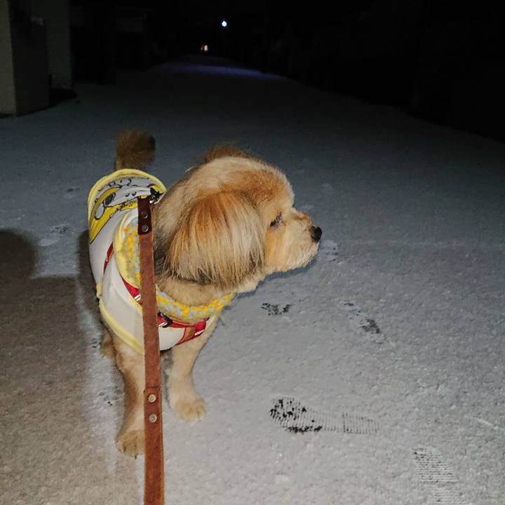 73002355 d572 414f 8269 34d1a689a738 1610056606227