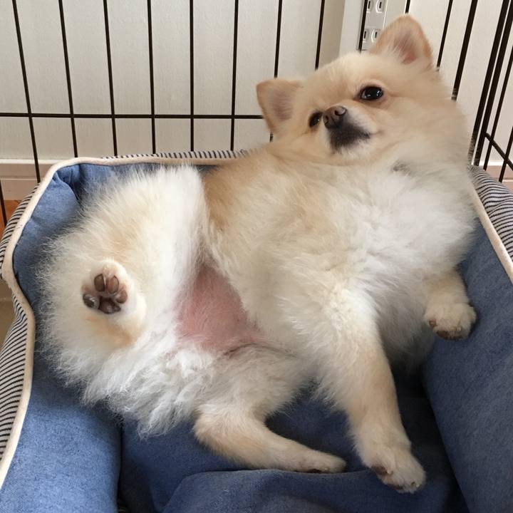 7300291d 486f 40b9 bc8b be3fa953e8b2 1539661672706