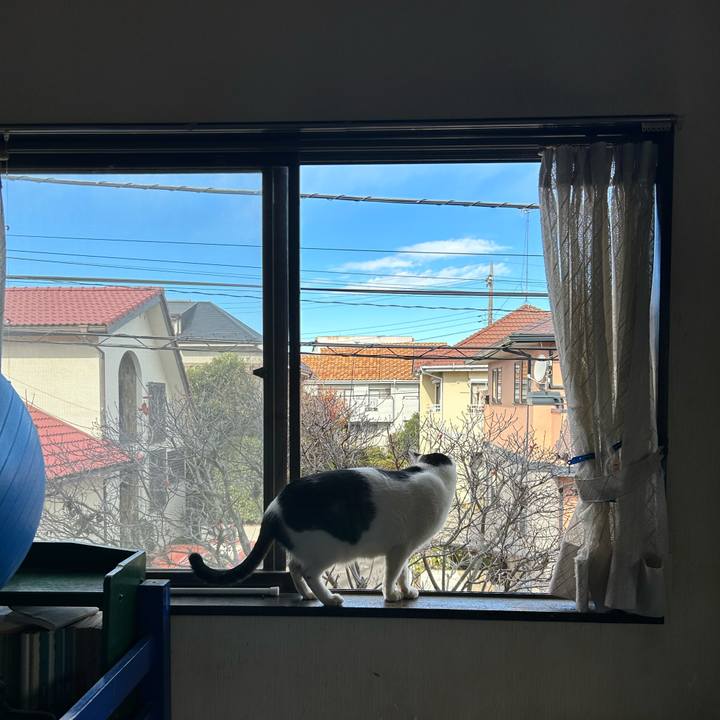 73002a69 3510 4653 8d83 17bbb04e56b6 1733659272241