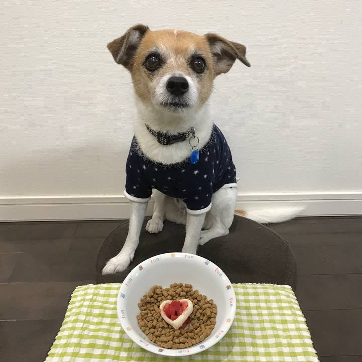 73009459 42f6 4e86 afa9 6d7a8c19d055 1581674408695