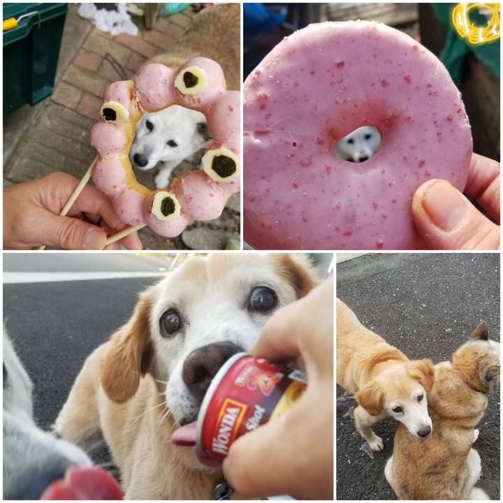 73009d97 4df8 4def a12f 39729dbe6267 1753500507757