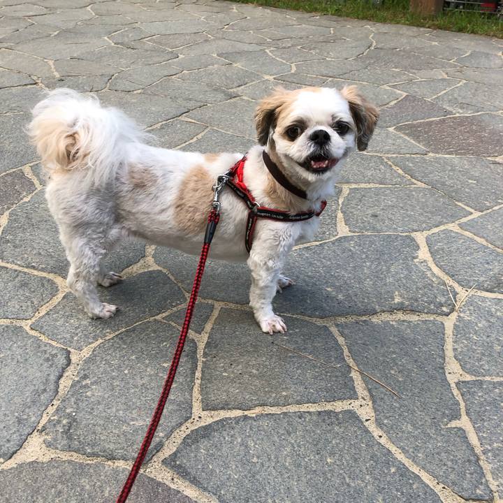 7300a508 740b 478e a368 bffcb5a0d71f 1568411288593