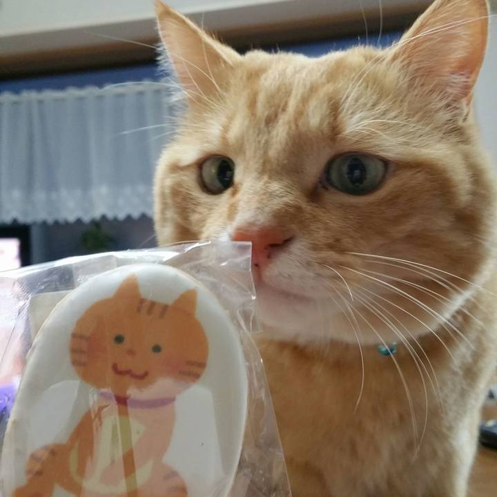 7300f936 7fc9 46e7 adb4 bcf4a63e22d0 1519772384492