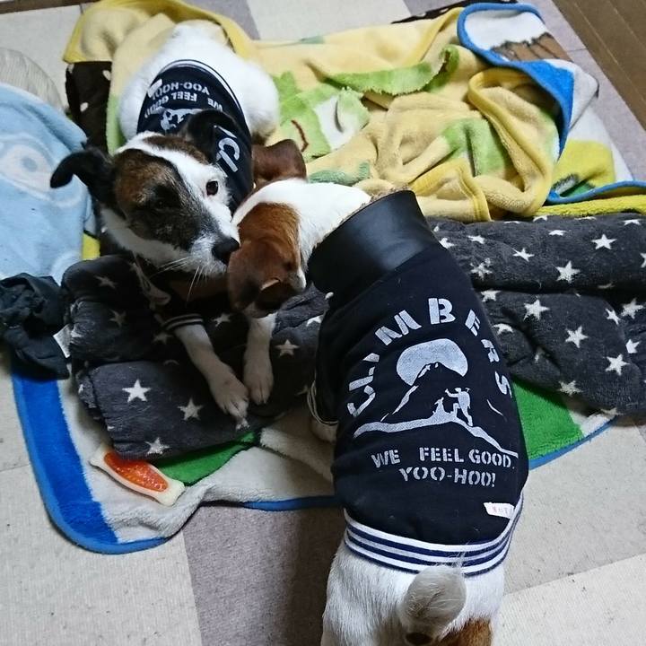 7300fb62 bd5b 49ea b239 7d73d9ddc21a 1583630948633